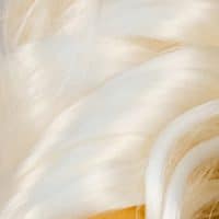 ProHair™ Fiber for Extensions