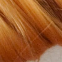 ProHair™ Fiber for Extensions