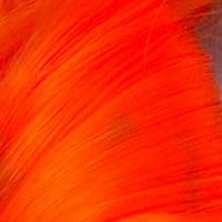 ProHair™ Fiber for Extensions